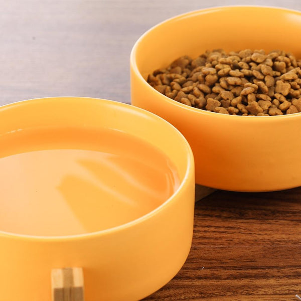 Ceramic Pet Food and Water Bowl Dish with Raised Wood Stand