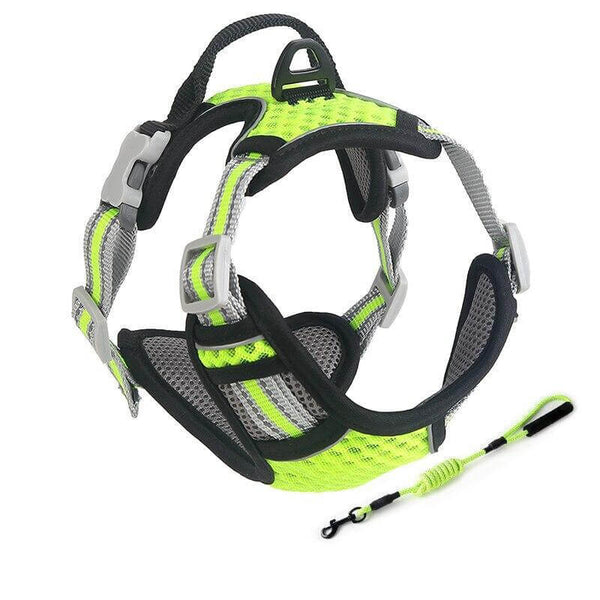 Breathable Mesh Dog Harness Reflective Pet Vest Harnesses with Leash