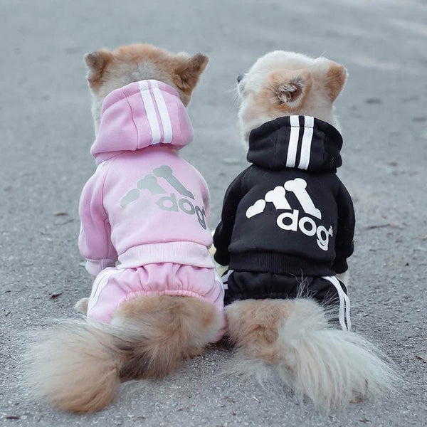 Track Suit for Small to Medium Size Dogs, Clothing Costume Jumpsuit Outfit