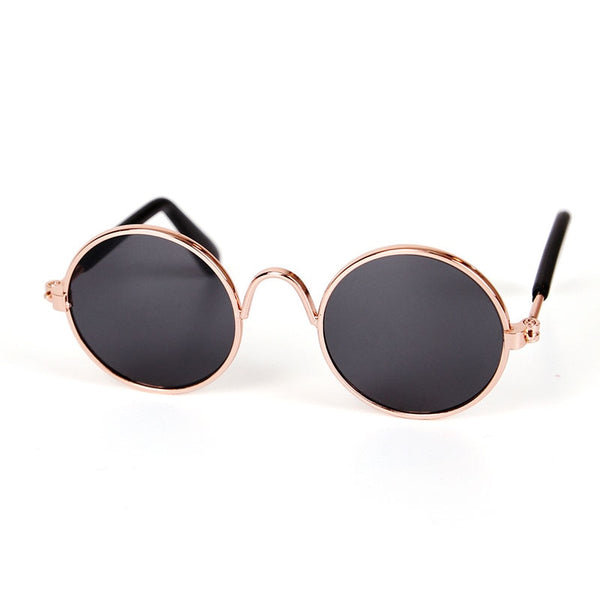 Oval Sunglasses Photo Prop Eyewear Only for the Coolest Cats