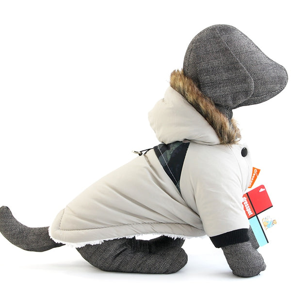 Hooded Warm Winter Jacket for Dogs - Multicolor