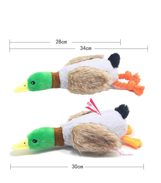 Plush Duck Toy for Dogs Dimensions