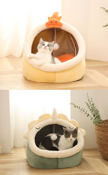 Cats In Semi Enclosed Cat Houses