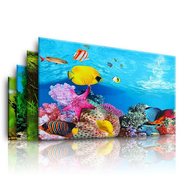 Aquarium Landscape Poster Double-sided Background