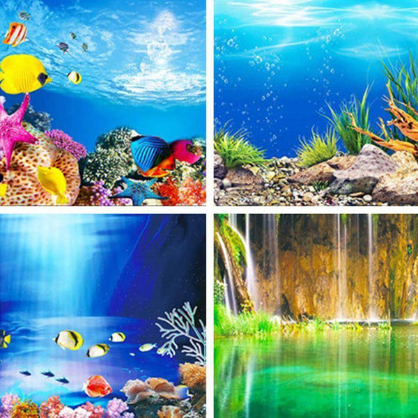 Aquarium Landscape Poster Double-sided Background