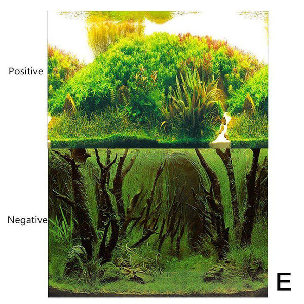 Aquarium Landscape Poster Double-sided Background