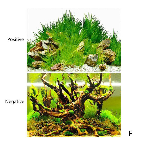 Aquarium Landscape Poster Double-sided Background