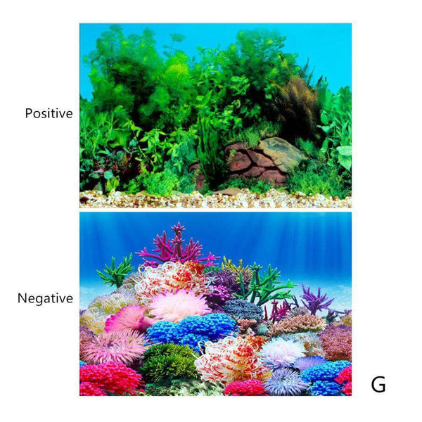 Aquarium Landscape Poster Double-sided Background