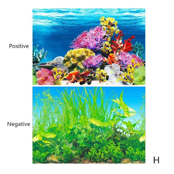 Aquarium Landscape Poster Double-sided Background