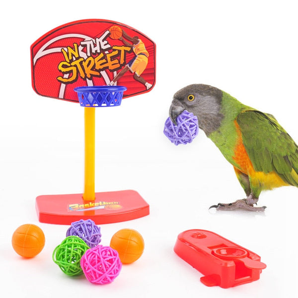 Set Of Bird Training Toy Set Interactive Pet Parrot Equipment Basketball Skateboard