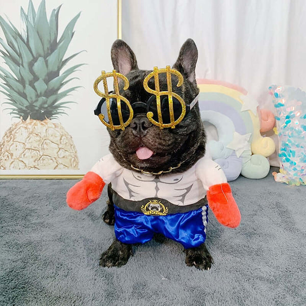 Birthday Party Sunglasses Accessories For Dogs