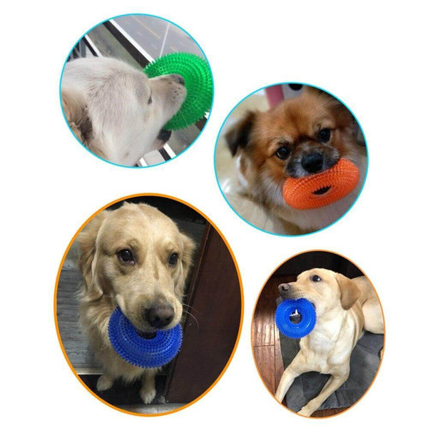 Bite Resistant Chewing Teeth Cleaner Toy for Dogs - Play