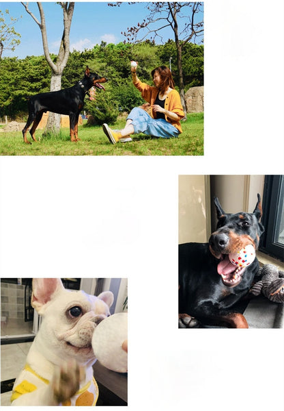 Dog Chew Toys High-elasticity Lightweight Popcorn Bite Resistant Solid Ball