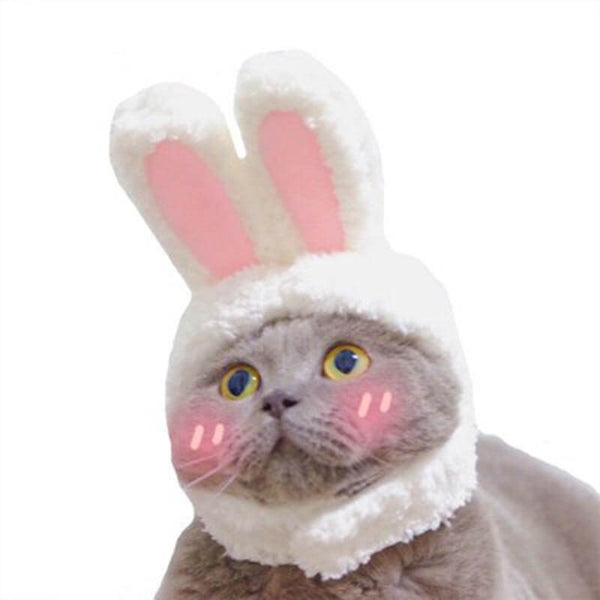 Bunny Ears Hat Costume for Cats