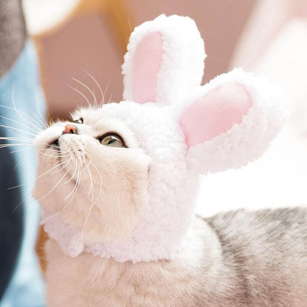 Bunny Ears Hat Costume for Cats