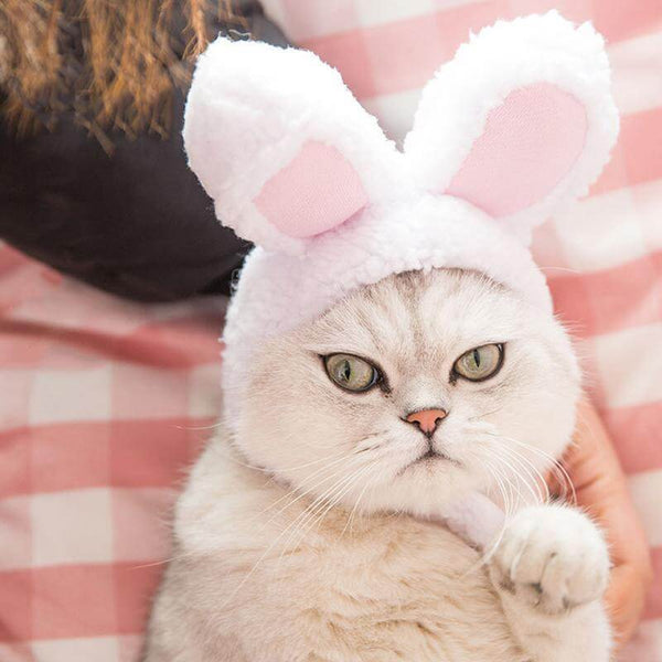 Bunny Ears Hat Costume for Cats