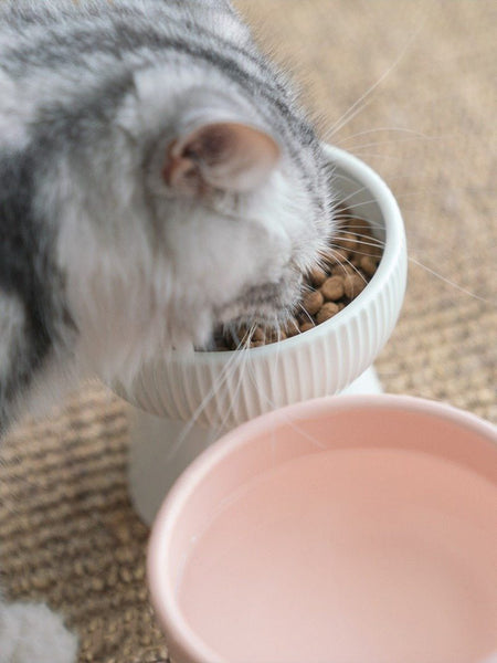 High Foot Cat Food Bowl Stripe Design Pet Food Bowls