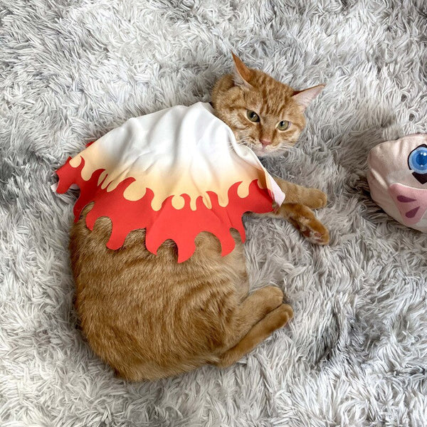 Demon Slayer Cosplay Clothes & Costumes for Cats