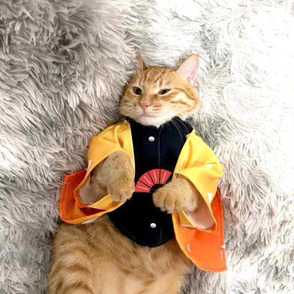 Demon Slayer Cosplay Clothes & Costumes for Cats
