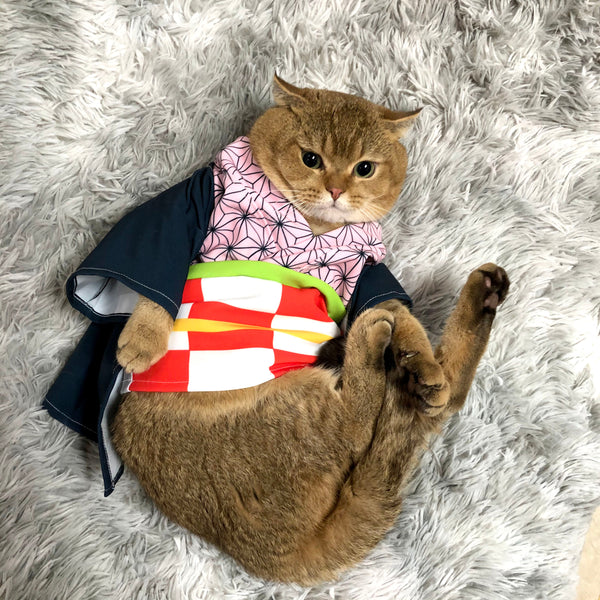 Demon Slayer Cosplay Clothes & Costumes for Cats