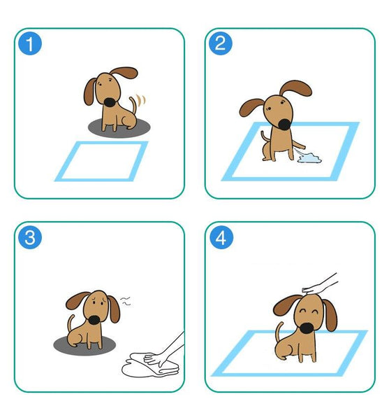 Dog Training Pee Pads Absorbent Disposable Underpads for Puppies 100 Piece Set