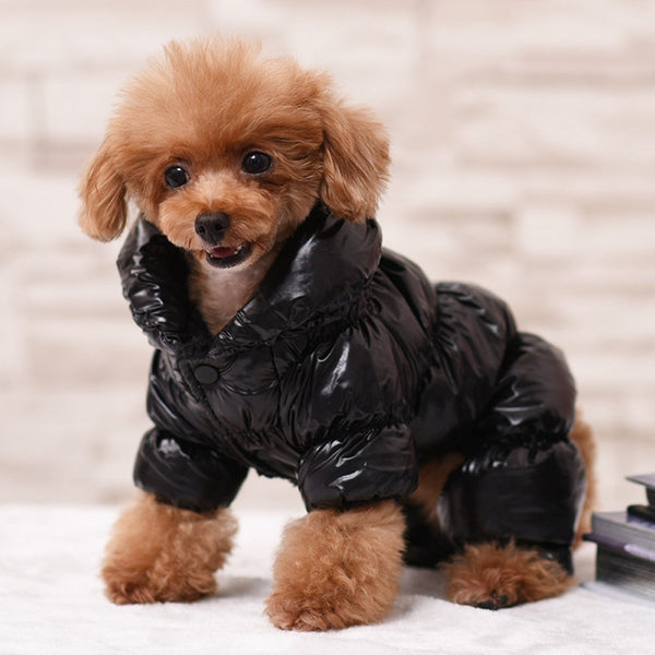 Dogs Designer Retro Jacket Warm Winter Clothes For Puppy