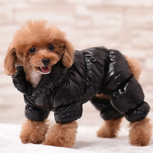 Dogs Designer Retro Jacket Warm Winter Clothes For Puppy