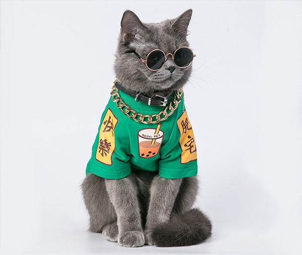 Golden Color Necklace for Dogs, Cats