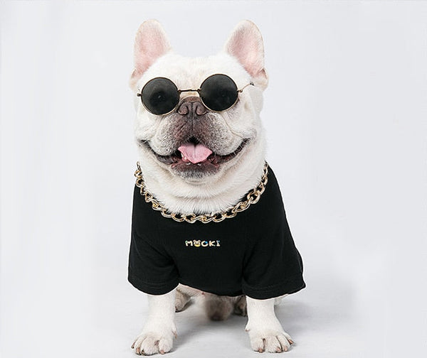 Golden Color Necklace for Dogs, Cats