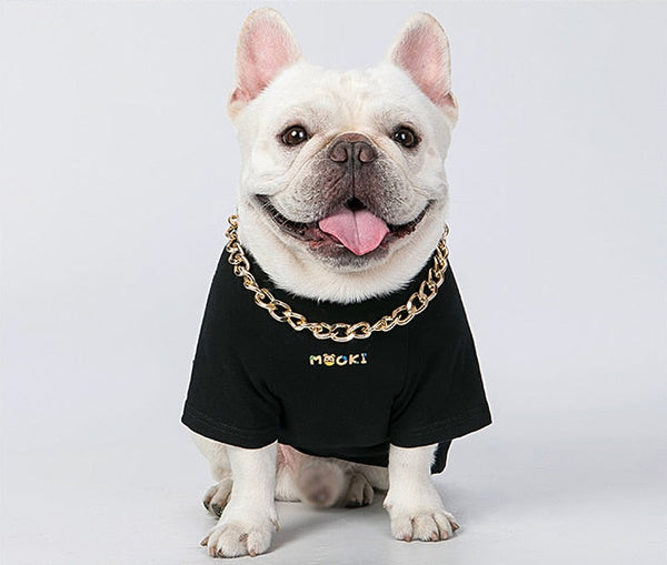 Golden Color Necklace for Dogs, Cats