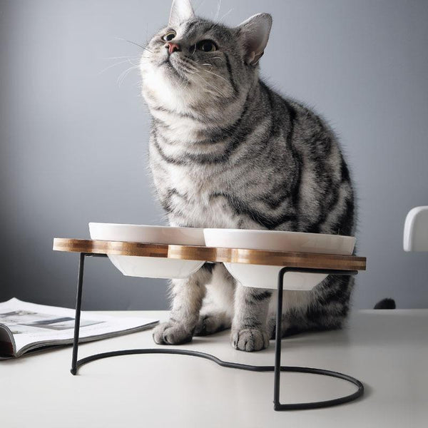 Fashion High-end Double Pet Bowls with Various Cartoon Patterns Stainless Steel Shelf Ceramic Bowl Feeding and Drinking for Dogs and Cats