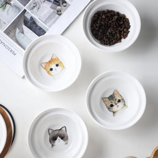 Fashion High-end Double Pet Bowls with Various Cartoon Patterns Stainless Steel Shelf Ceramic Bowl Feeding and Drinking for Dogs and Cats