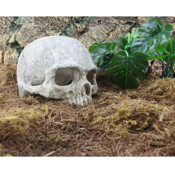 Resin Skull Statue Terrarium, Aquarium, Fish Tank Landscape Decoration Ornament