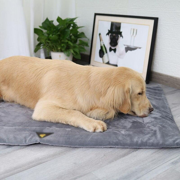 Soft Fleece Self Heating Insulated Pet Bed Mat