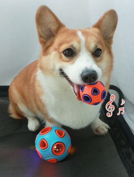 Pet Dog Ball Chew Toy Rubber Snack Dogs Training Ball Outdoor Play with Sound/Lights