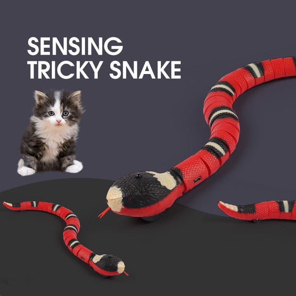 Interactive Cat Toys Automatic Electronic Snake Teasing USB Rechargeable Kitten Toy