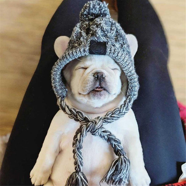 Knitted Warm Winter Windproof Dogs Hat