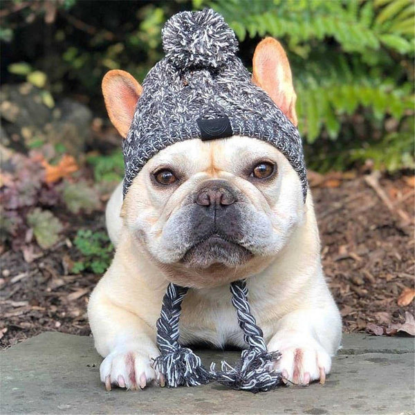 Knitted Warm Winter Windproof Dogs Hat