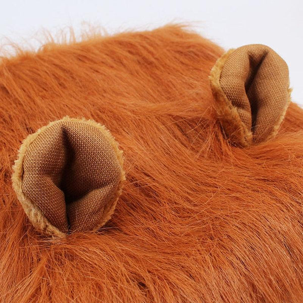 Lion Mane Costume for Dogs Photo Prop Accessories