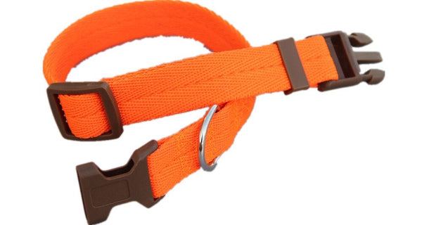 Multicolor Adjustable Dog Collar S-XL Size