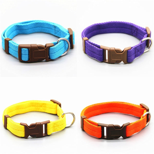 Multicolor Adjustable Dog Collar S-XL Size