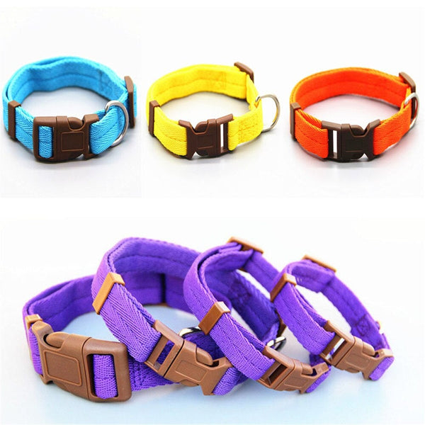 Multicolor Adjustable Dog Collar S-XL Size