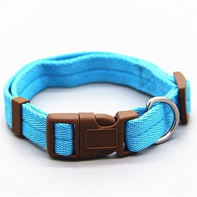 Multicolor Adjustable Dog Collar S-XL Size