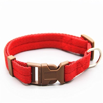 Multicolor Adjustable Dog Collar S-XL Size