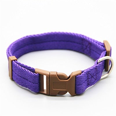 Multicolor Adjustable Dog Collar S-XL Size