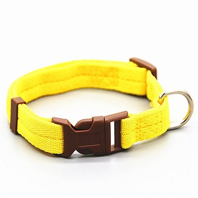 Multicolor Adjustable Dog Collar S-XL Size