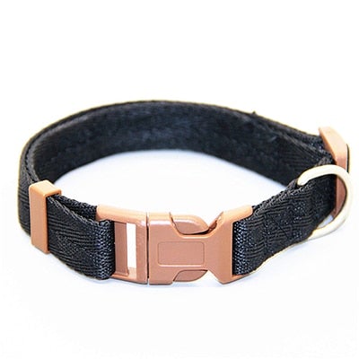 Multicolor Adjustable Dog Collar S-XL Size