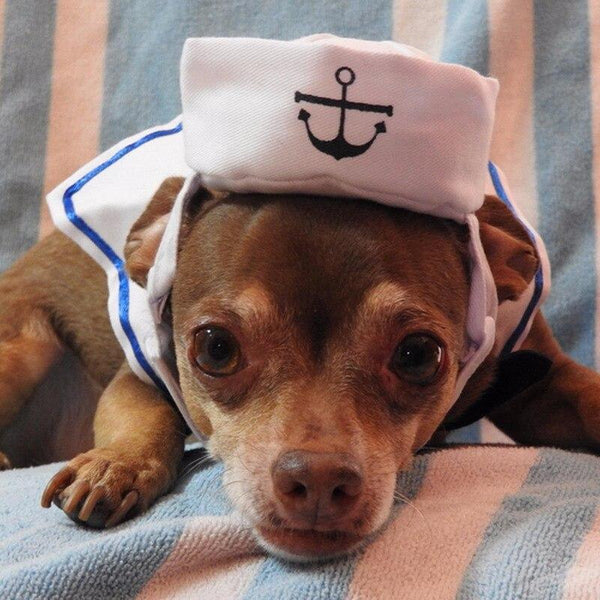 Navy Sailor Costume Hat and Tie for Cats and Small Dogs