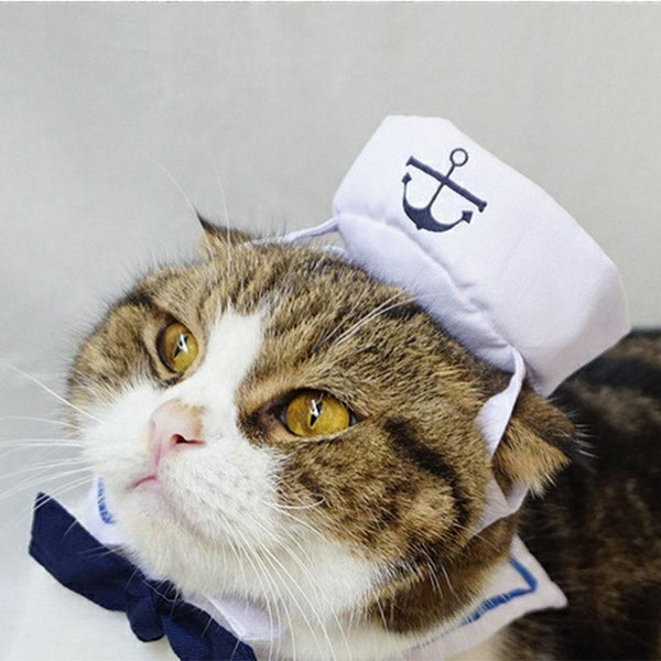 Navy Sailor Costume Hat and Tie for Cats and Small Dogs