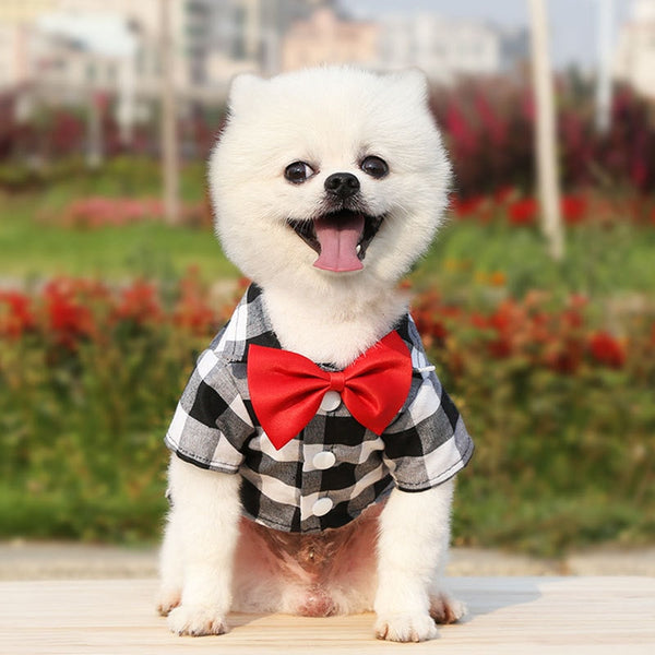Plaid Striped Shirt Suit with Bow Tie Puppy Dress for Small-Medium Size Dog, Cat